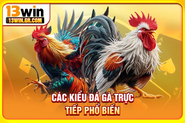 Đá Gà Mạng Trực Tuyến | Xem Trận Thật, Bắt Kèo Chuẩn Các kiểu đá gà trực tiếp phổ biến