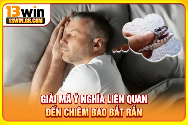 Giải mã ý nghĩa liên quan đến chiêm bao bắt rắn