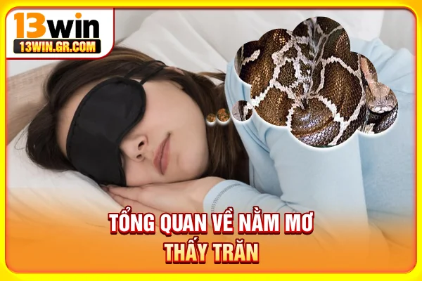 Tổng quan về nằm mơ thấy trăn